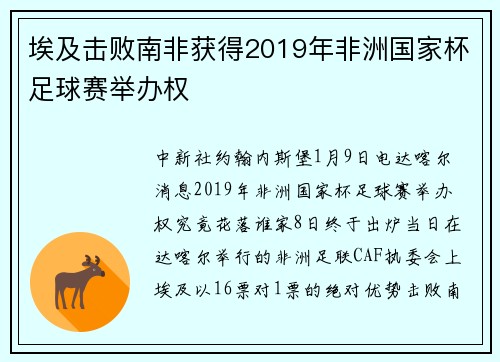 埃及击败南非获得2019年非洲国家杯足球赛举办权
